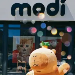 modi ♥️ Мариуполь
