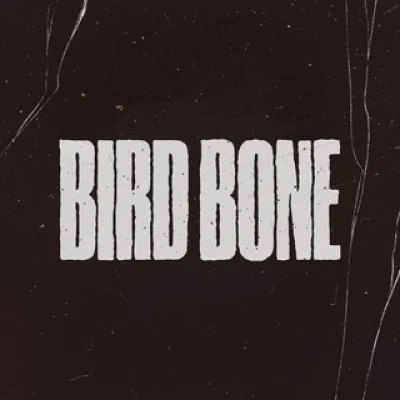 Bird Bone