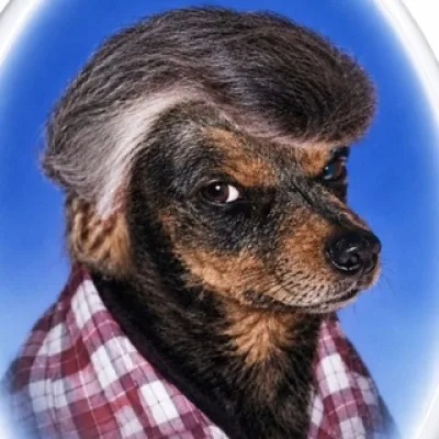 СОБАКА С МОЛОТКОМ