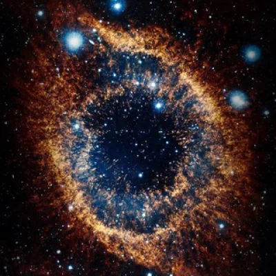 NEBU: LA'S LIFE