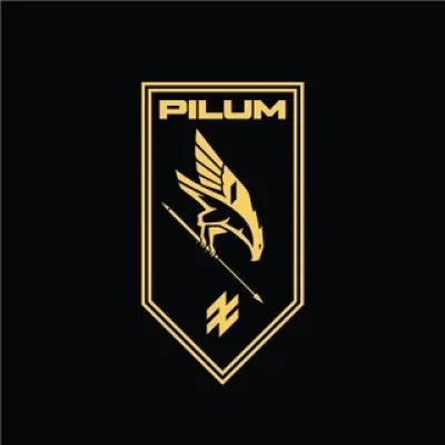 41-й полк безпілотних систем «Pilum»