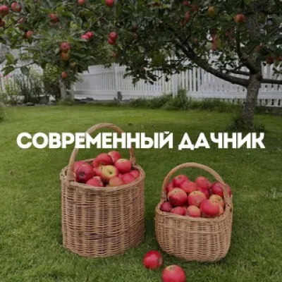Современный дачник