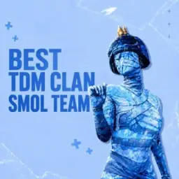 Smol team