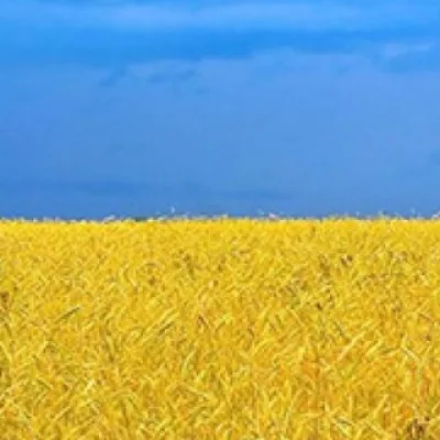 Політика Україна | Политика Украины