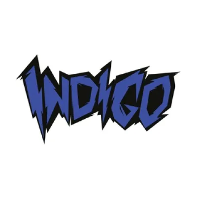 INDIGO STUFF