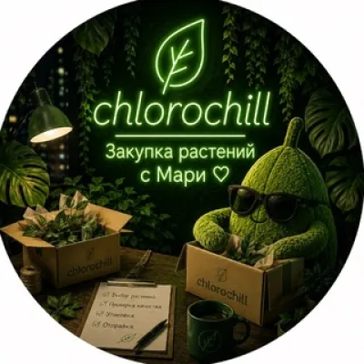ℂ𝕙𝕝𝕠𝕣𝕠ℂ𝕙𝕚𝕝𝕝: Закупки растений с Мари