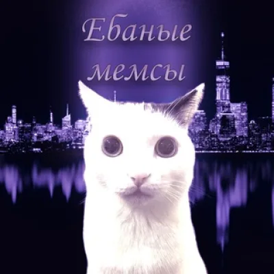 ебаные мемсы