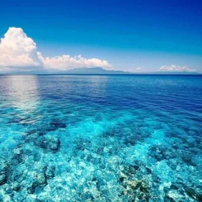 Море интереса🦑