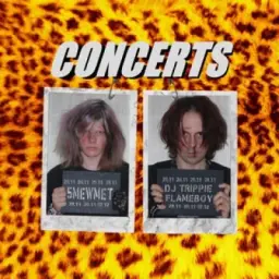 CONCERTS 5MM & DJTF