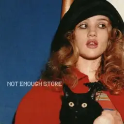 NOT ENOUGH STORE