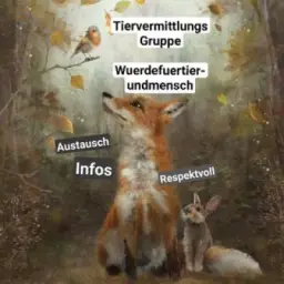 Tiervermittlungsgruppe Chat allgemein (Würde für Tier und Mensch) allgemeiner Austausch