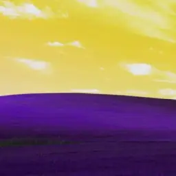 Purble Place ✨