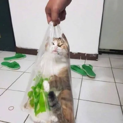 mm