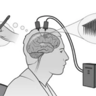 Chat of "the last neural cell"