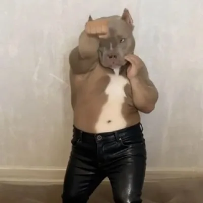 семьсот семь