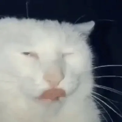 S3 N