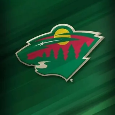 🌲 MINNESOTA WILD🌲 🏒🇺🇸🏒