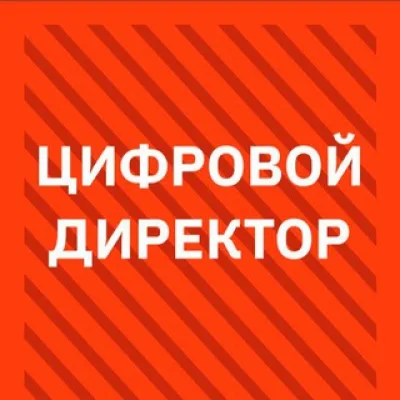 Цифровой директор