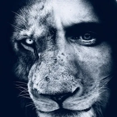 LION Media