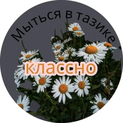 Викас мемс ♡