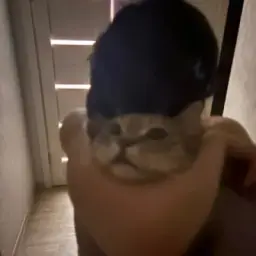 морали нет