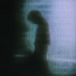 insofaze loops
