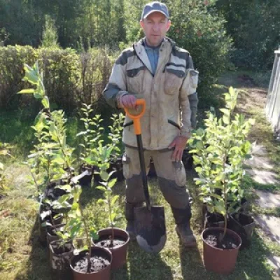 Константин Алахвердов