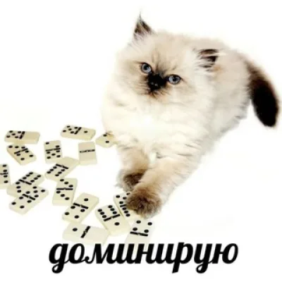 дима