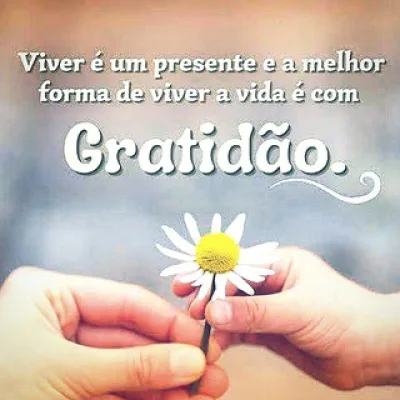 🙏🏻 𝗜𝗻𝗳𝗶𝗻𝗶𝘁𝗮 𝗚𝗿𝗮𝘁𝗶𝗱𝗮̃𝗼 🙏🏻