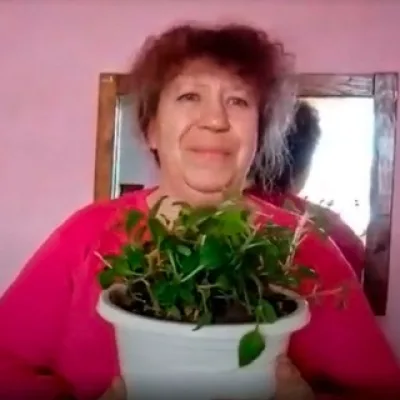 Живёт село