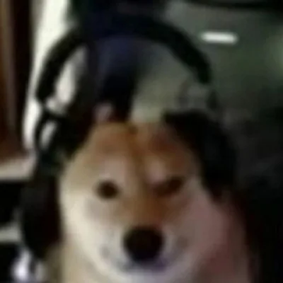 Anton