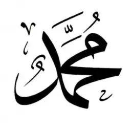 Жизнеописание Посланника Аллаха ﷺ
