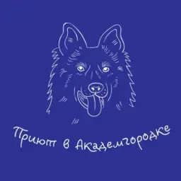 Приют Академгородка